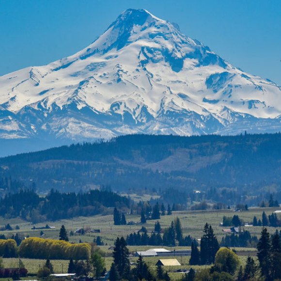 Greetings - Picture 1 of 1